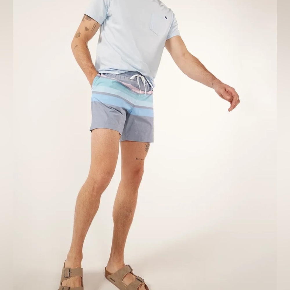 Chubbies NWT the Apex Swimmers in Faded Gray Stripes Lined Sz L 4” & XL 5.5”
